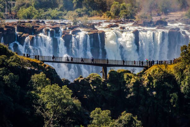 best zambia safari itinerary 2026: south luangwa & lower zambezi
